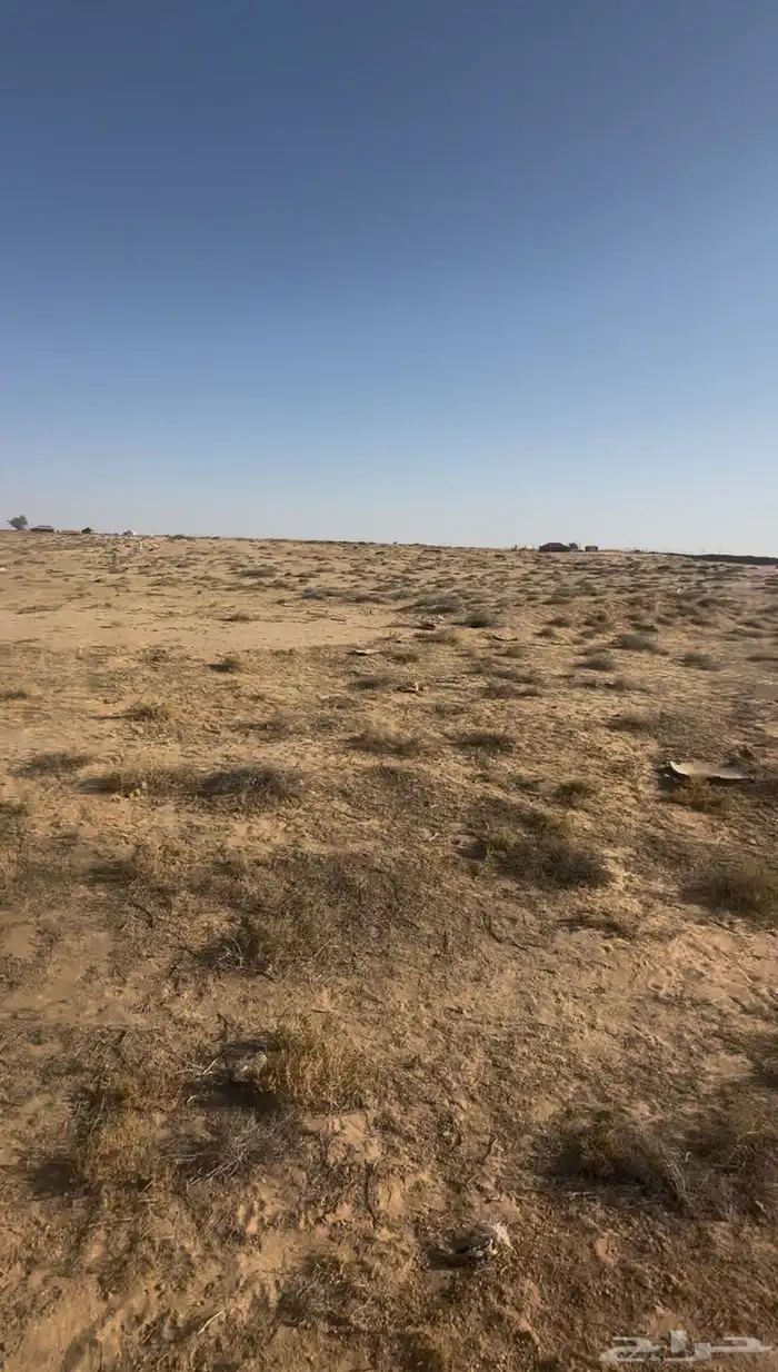 بحاجة للشريك بااسطبل للخيل 2