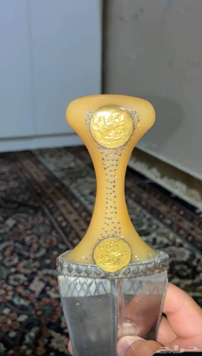 جنبيه زراف او وتر 13