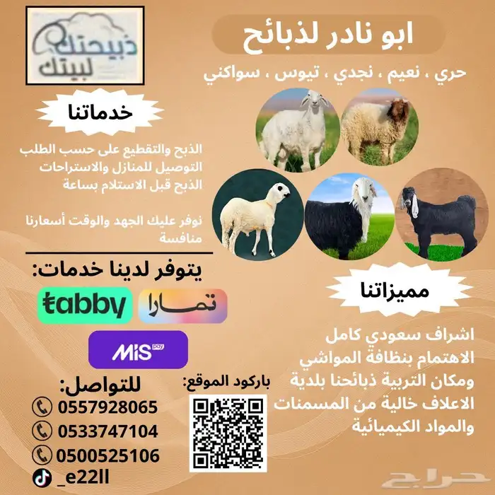 طليان نعيم فل شحم للبيع - يوجد خدمة التقسيط 0
