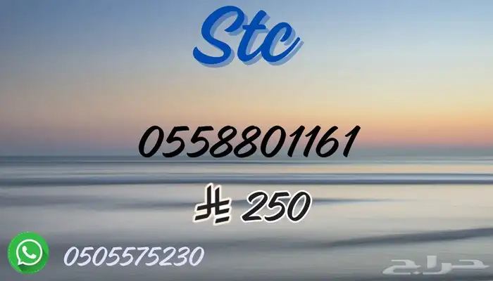 شرائحstc 13