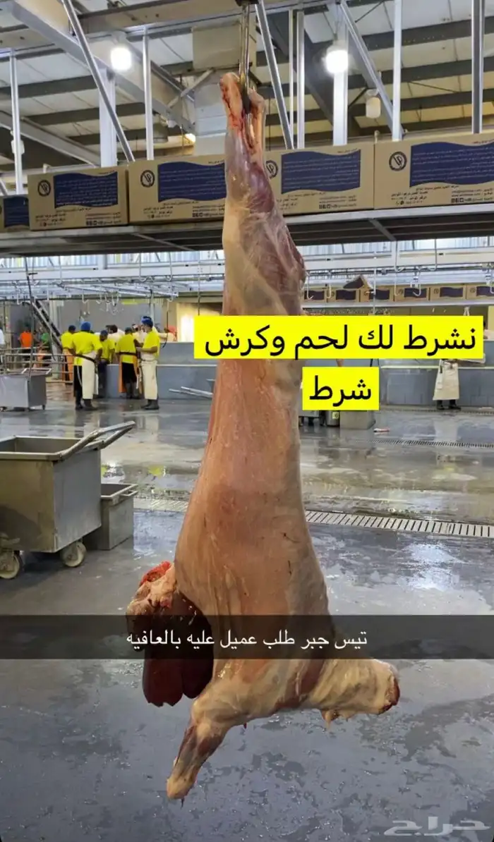 ذبايح حري نعيمي نجدي تيوس عوارض يوجد خدمه الذبح والتوصيل 14
