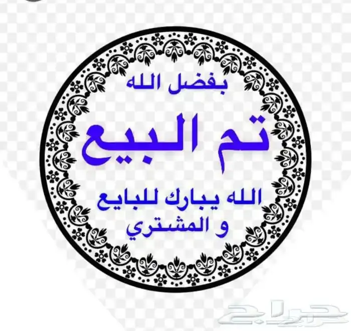 روز اليف 3