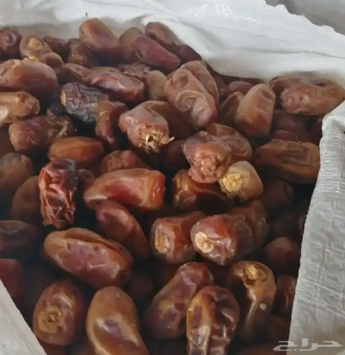 يوجد بيع تمور. 0