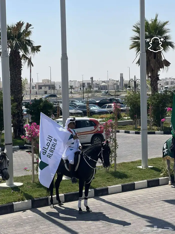 نوفر خيول للمناسبات واليوم الوطني 2