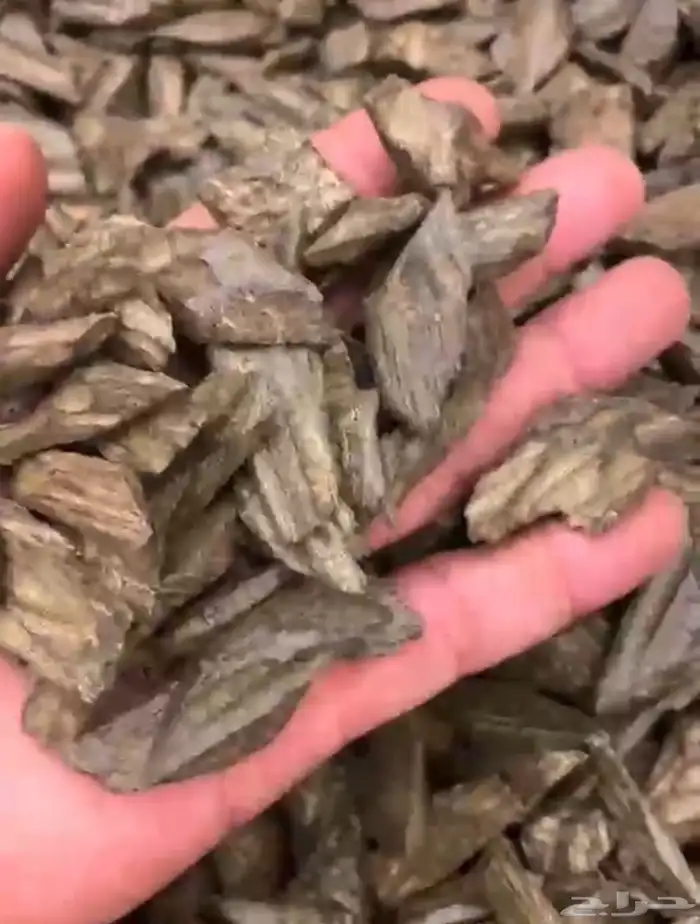 نوفر جميع انواع العطور والتجميل والكماليات والعود جمله وحبه 24