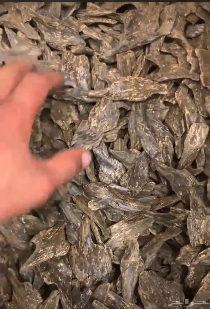 نوفر جميع انواع العطور والتجميل والكماليات والعود جمله وحبه 22
