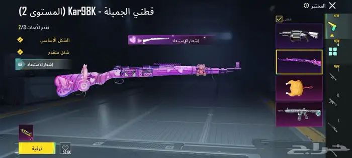 حسابات ببجي حلوه ورخيصه تم توفير حسابات 2