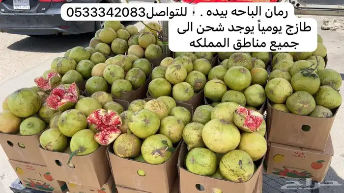 رمان الباحه بيده 0