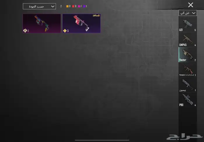 حساب ببجي للبيع 13