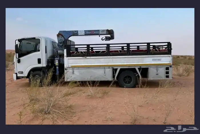 دنا ديانا دنه لنقل الابل وغيرها داخل القصيم وخارجها 0