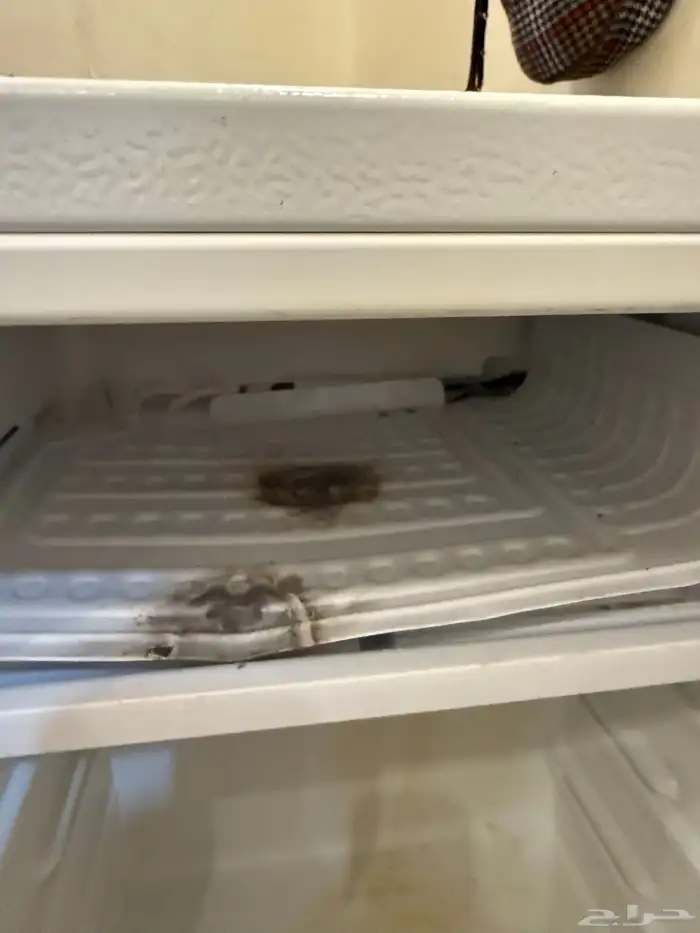 Nikai refrigerator 2