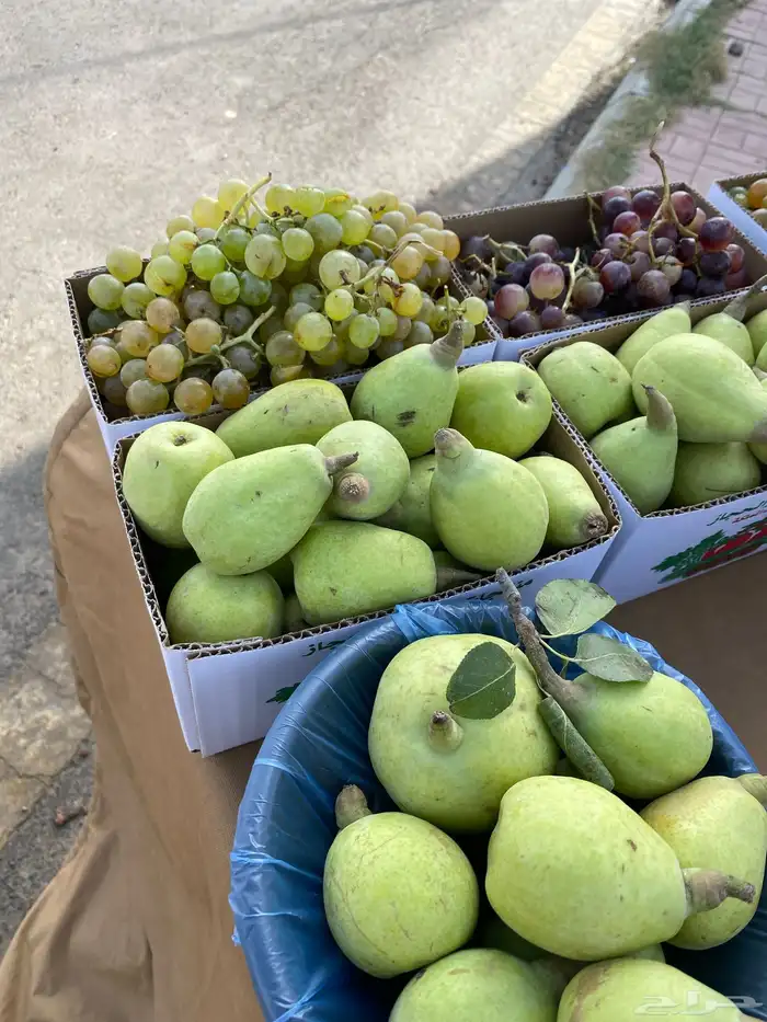 رمان   عنب   كمثرة ( الباحة ) 3