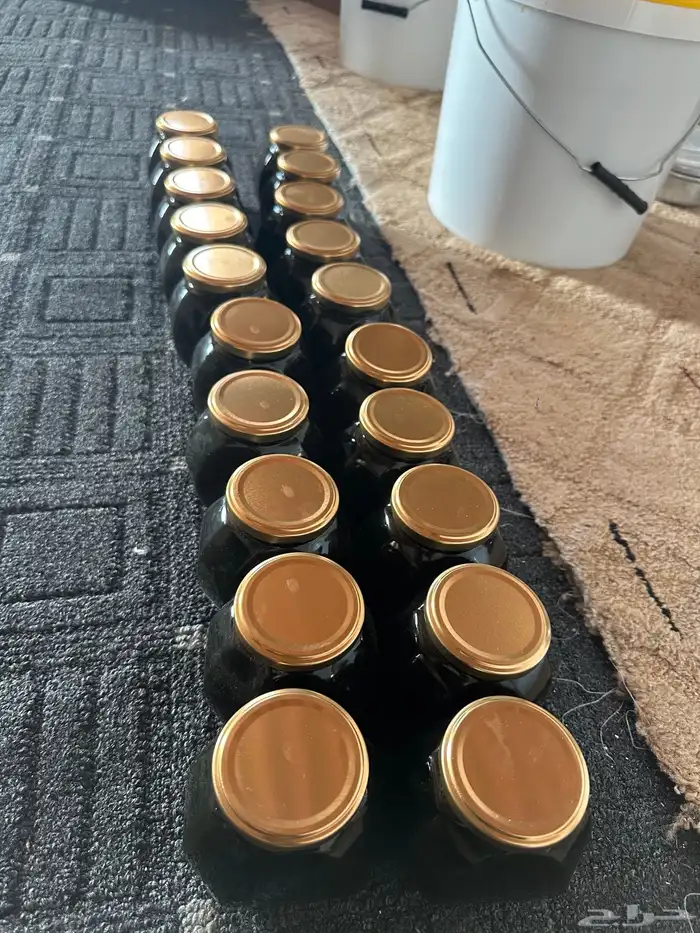عسل طلح حايل 0