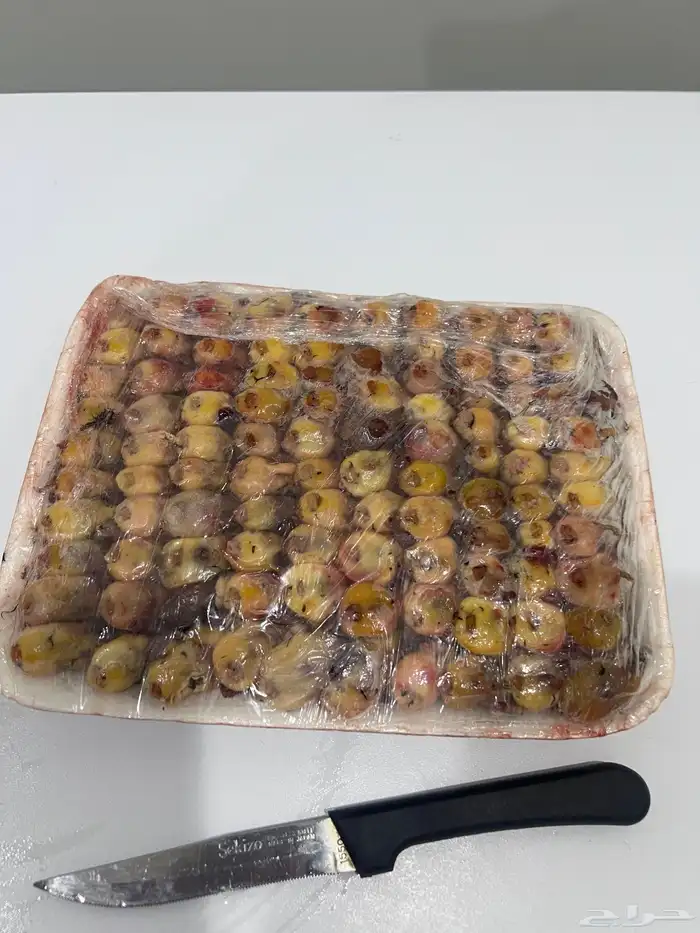 دخل محلي دخلي مصري 10