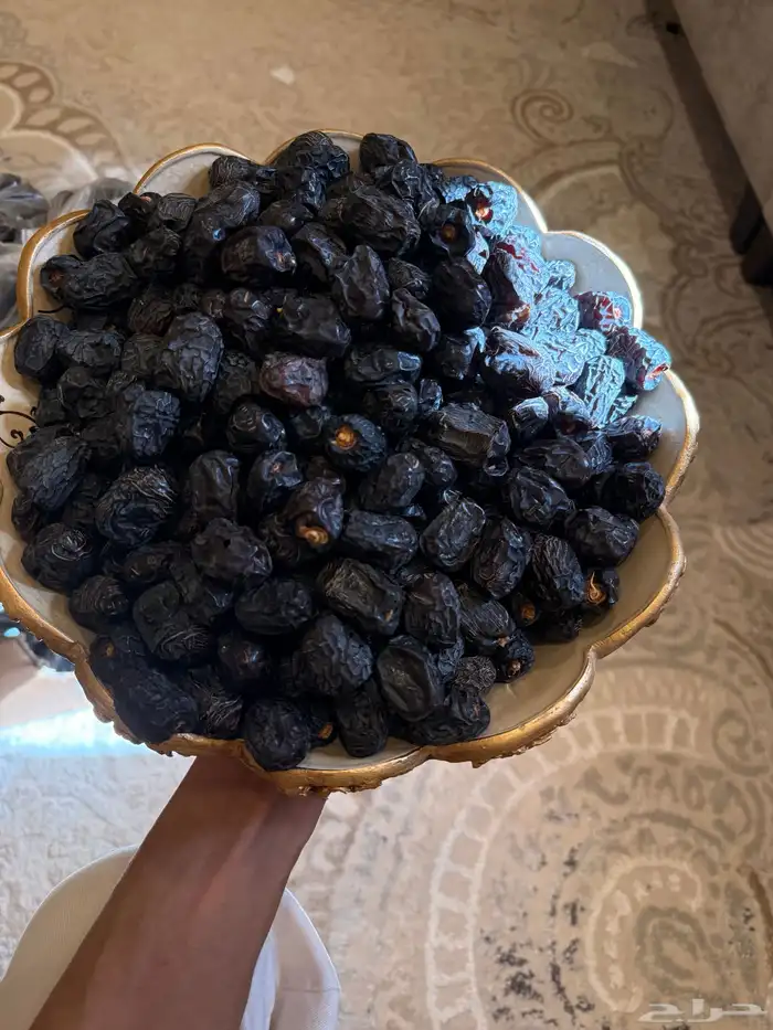 عجوة والله العظيم نأكل من نفس الكرتون ولا نرضى الغش. 0