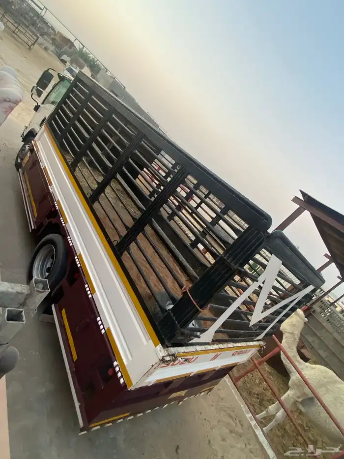 دينا صندوق طابقين للمشاوير الخاصه 1
