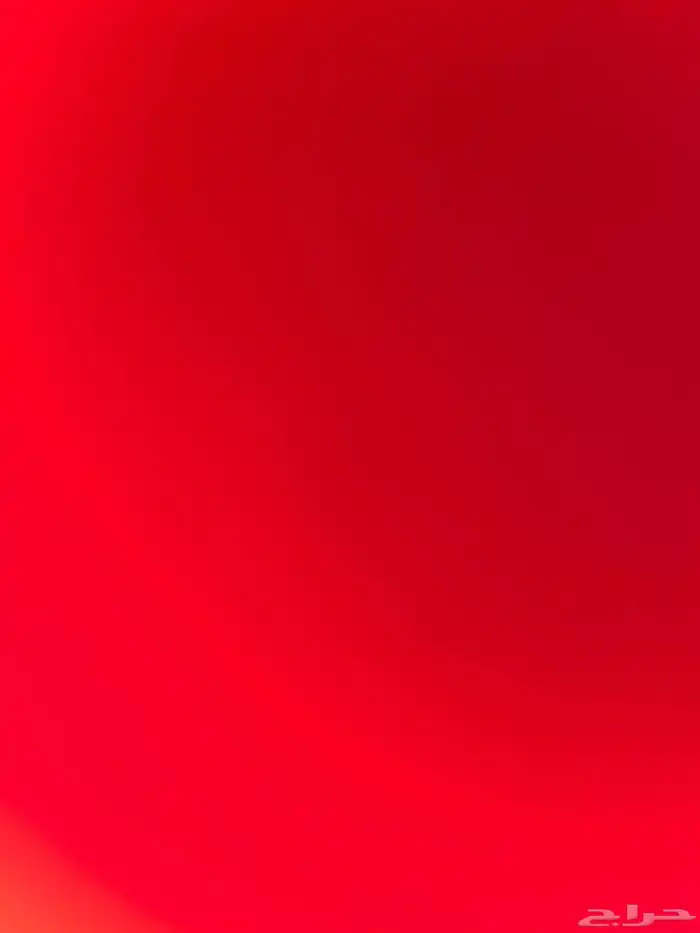 ابي كلب للتبني عندي مكان 0