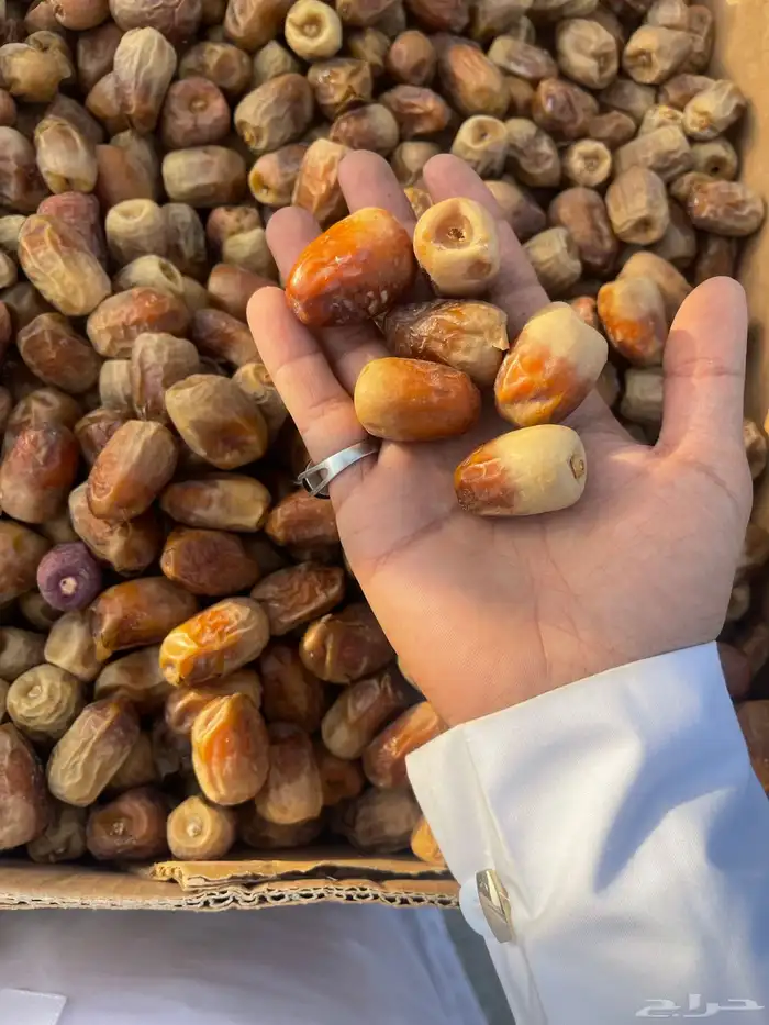 جسبة حمراء وصفراء فدره 0