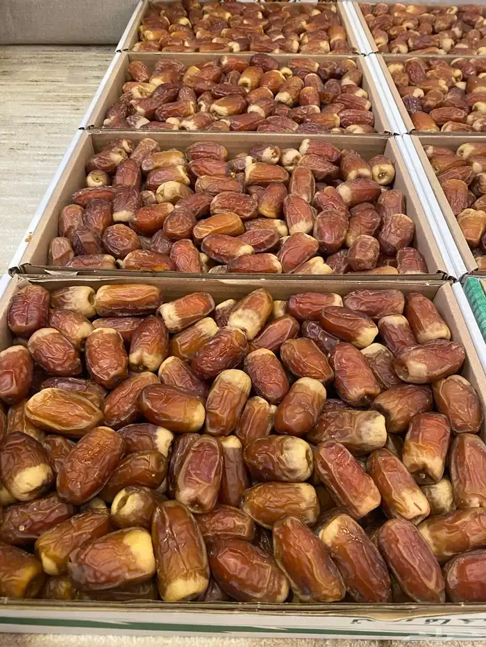 صقعي فاخر جدا 1