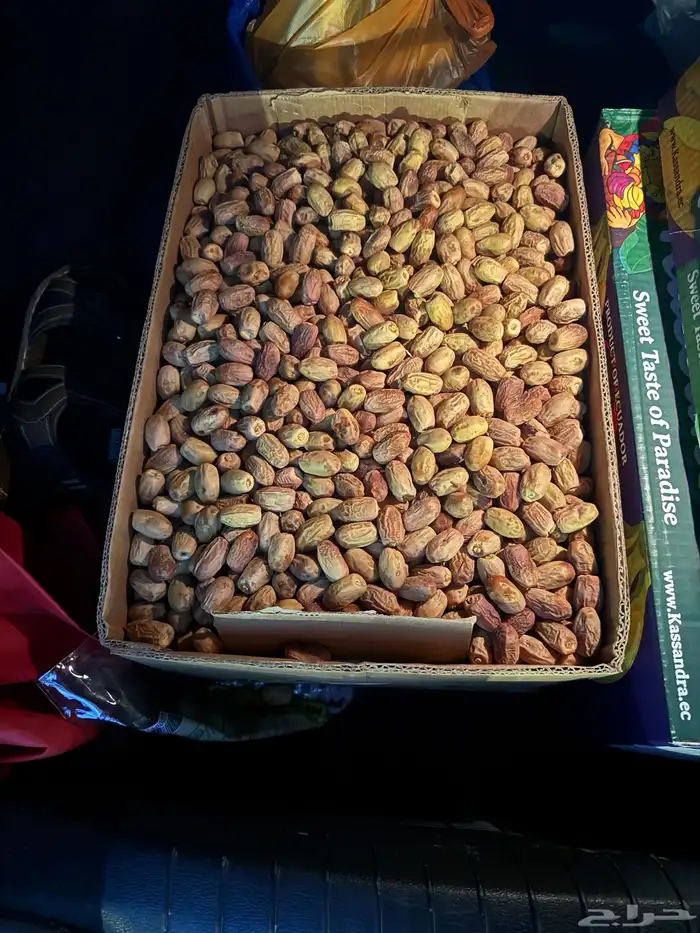 بديره 1