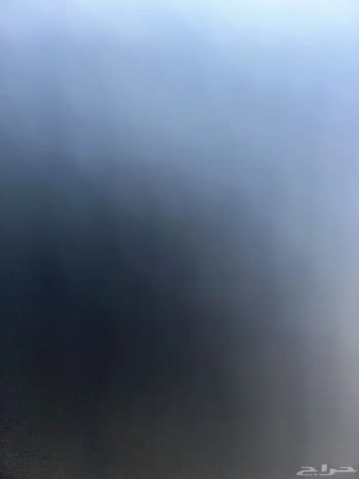 للبيع انثى درة جاهزة للانتاج 0