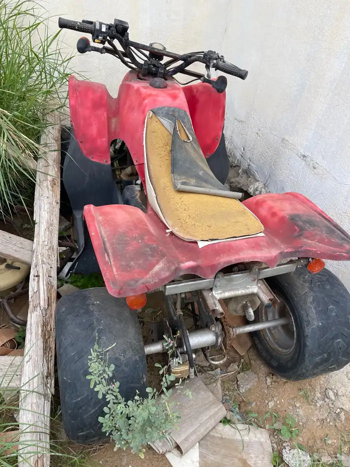 دباب للبيع 1