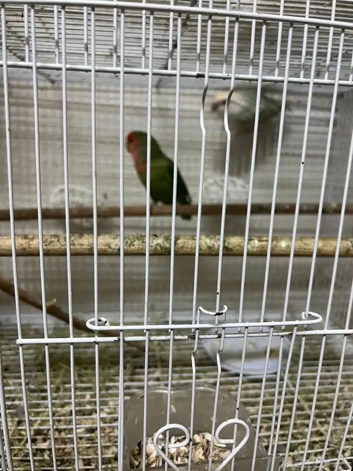 روز 3
