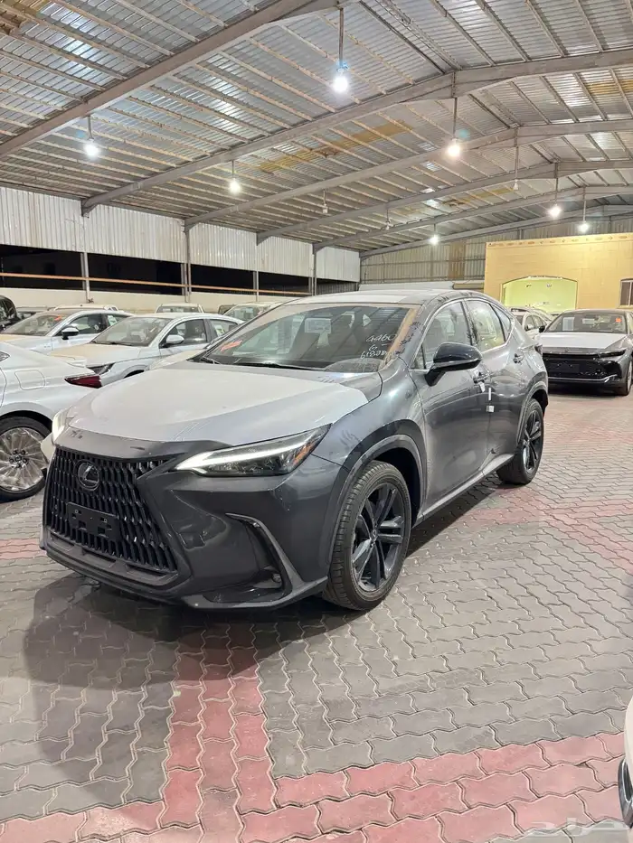 لكزس NX350 فئة AH هايبرد 2025 0