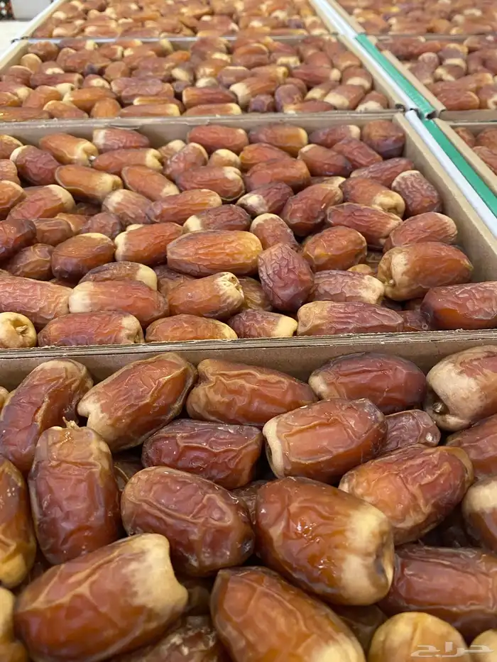 صقعي فاخر جدا 0