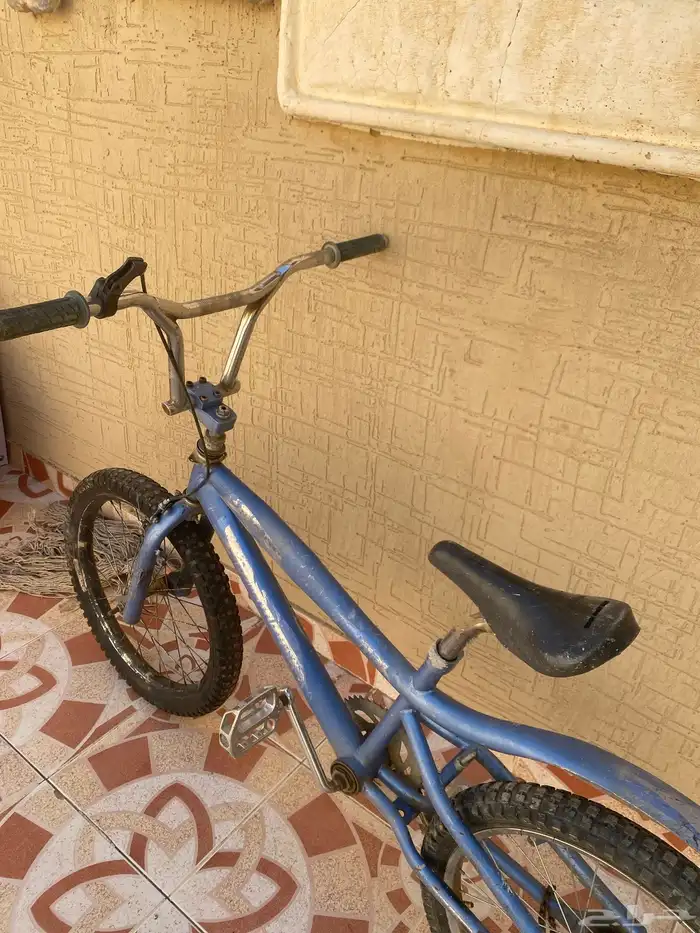 سيكل كوبرا 1