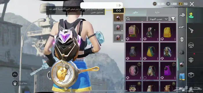 حساب ببجي 12