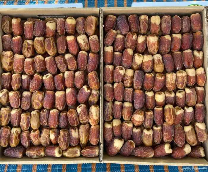 تمر صقعي درجه ثانيه 0