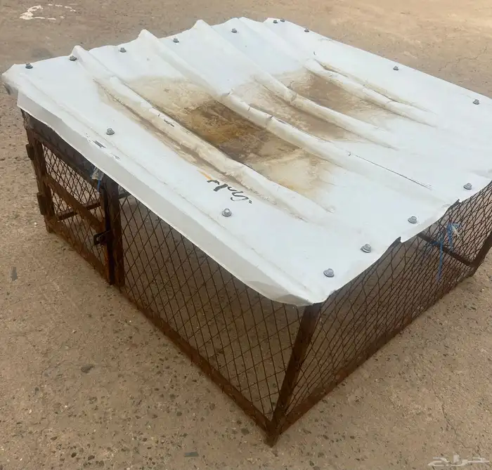 شبك دجاج 1
