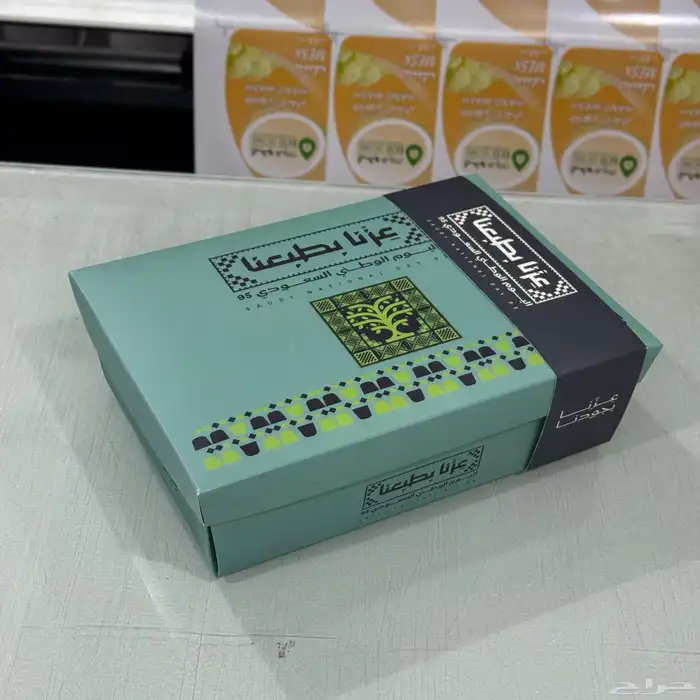 مطبوعات اليوم الوطني السعودي 95 17