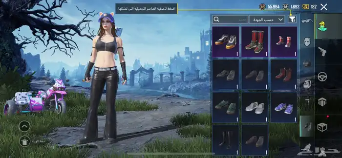 حساب ببجي امفور جوكر لفل 3 37