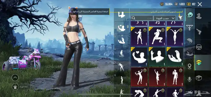 حساب ببجي امفور جوكر لفل 3 40