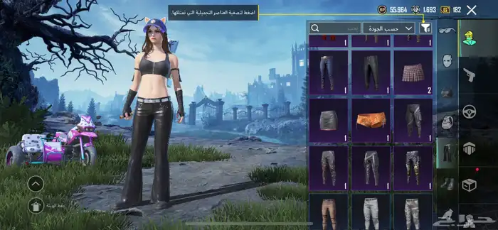 حساب ببجي امفور جوكر لفل 3 30