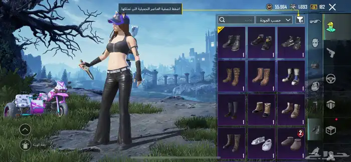 حساب ببجي امفور جوكر لفل 3 33