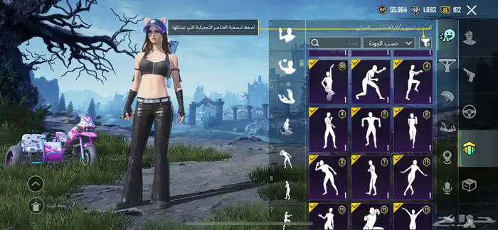 حساب ببجي امفور جوكر لفل 3 35