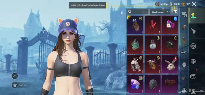 حساب ببجي امفور جوكر لفل 3 11