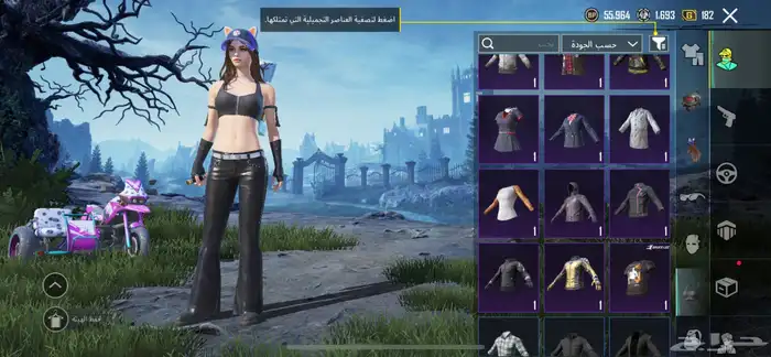 حساب ببجي امفور جوكر لفل 3 25