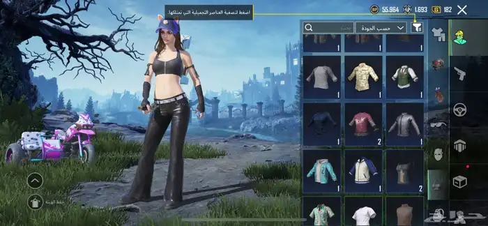 حساب ببجي امفور جوكر لفل 3 23