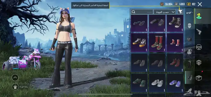 حساب ببجي امفور جوكر لفل 3 32