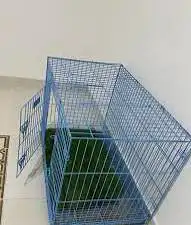 قفص قطط كلاب ارانب مستخدم نظيف 3
