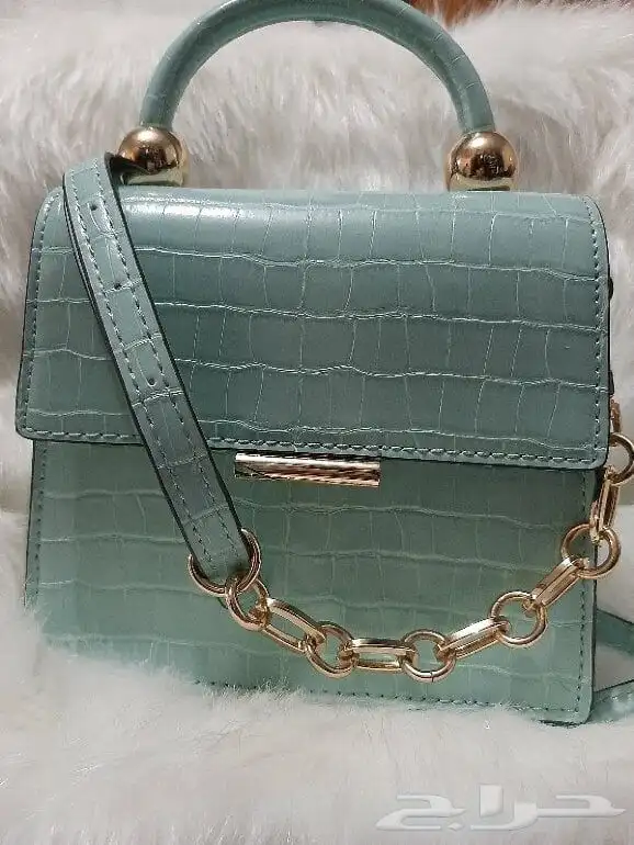 شنطة صغيرة ألدو ALDO جديدة 0