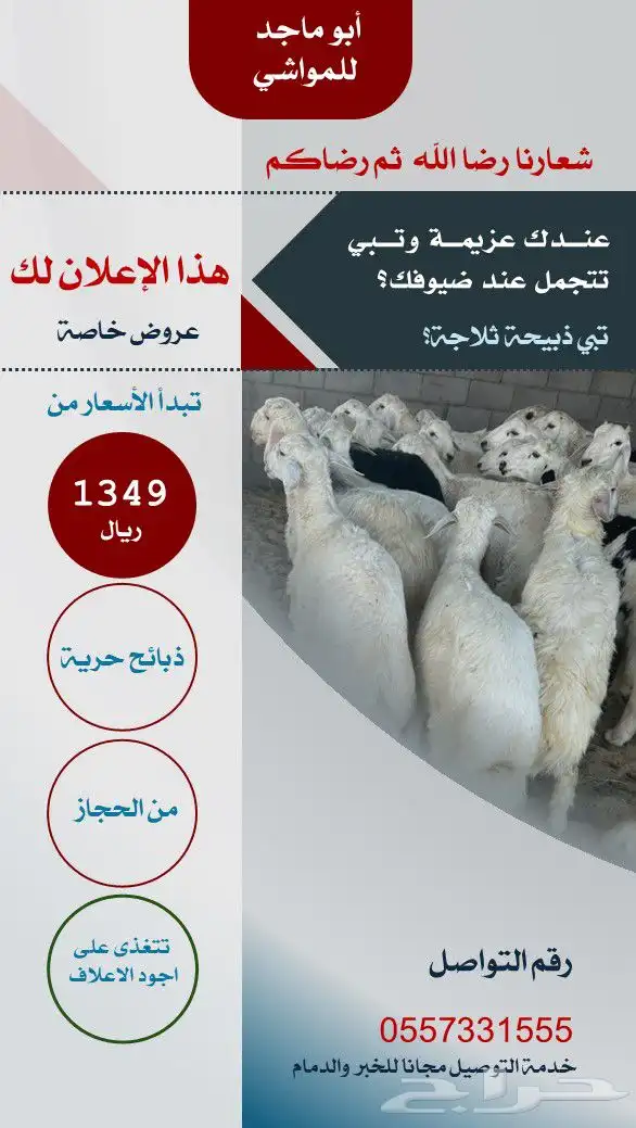خرفان حريه شرط الدمام الخبر 0