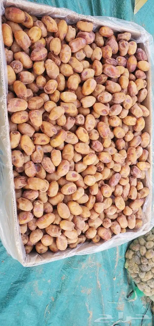 تمور للبيع 0