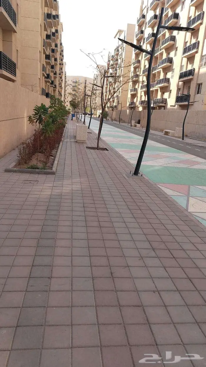 شقه للايجار جدة ضاحيه الجوهره سته غرف 1