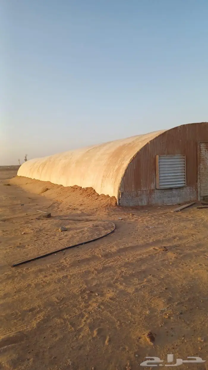 عنبر دواجن 1