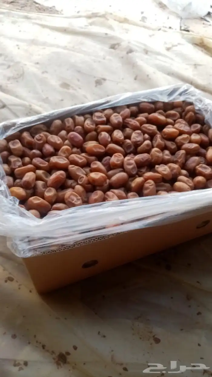 تمور للبيع 3